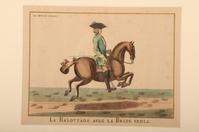 6 Lipizzaner Color Prints