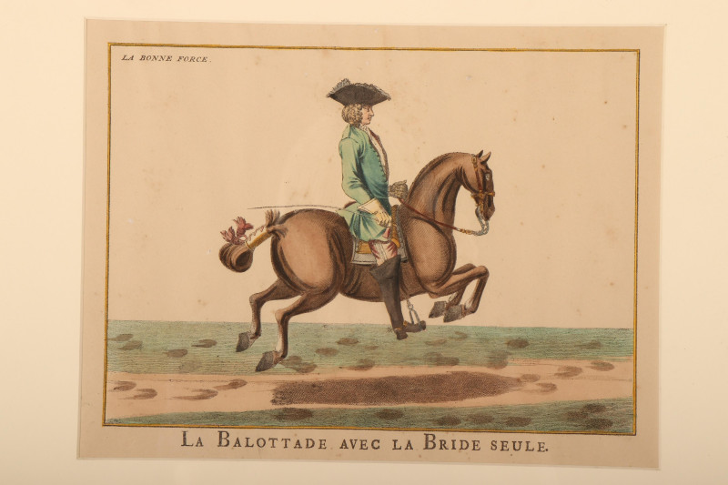 6 Lipizzaner Color Prints