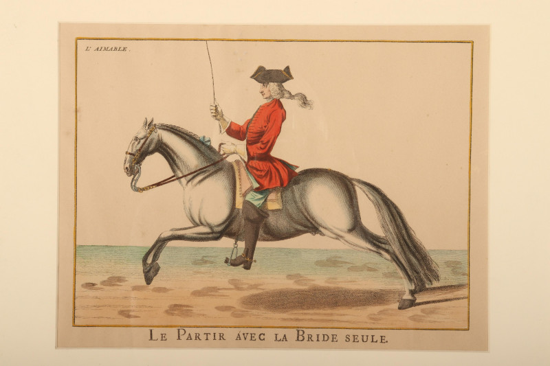 6 Lipizzaner Color Prints