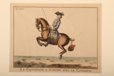 6 Lipizzaner Color Prints