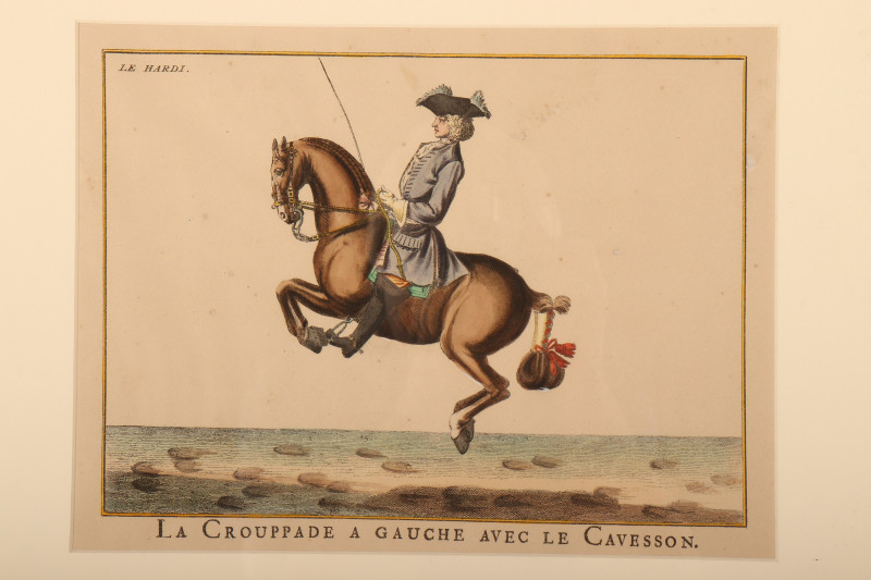 6 Lipizzaner Color Prints