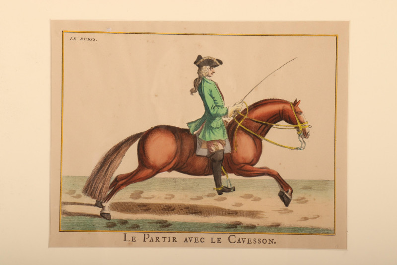 6 Lipizzaner Color Prints