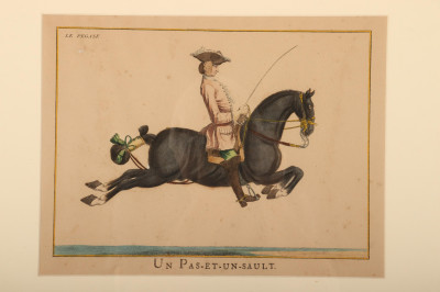 6 Lipizzaner Color Prints