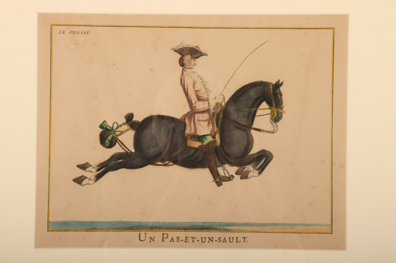 6 Lipizzaner Color Prints