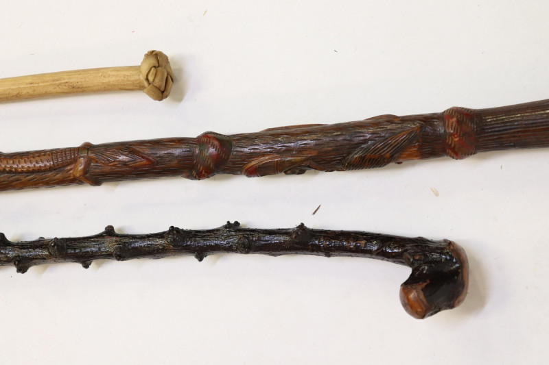 25 Canes, Walking Sticks, Crops, Parasols, Etc.