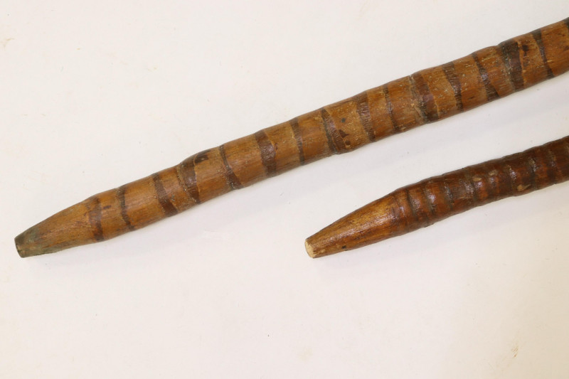 25 Canes, Walking Sticks, Crops, Parasols, Etc.