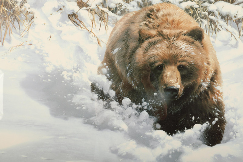 John Seerey-Lester, Snowbounding print