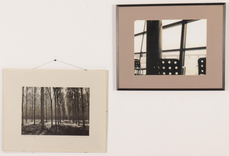 Two B&amp;W Photographs - Trees, Bridge Landscapes