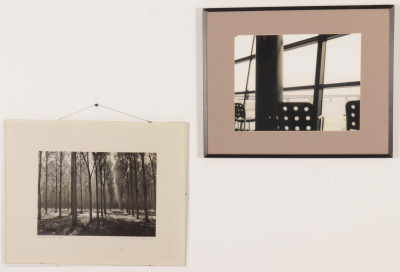 Two B&amp;W Photographs - Trees, Bridge Landscapes