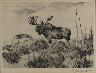 Carl Rungius - The Wanderer
