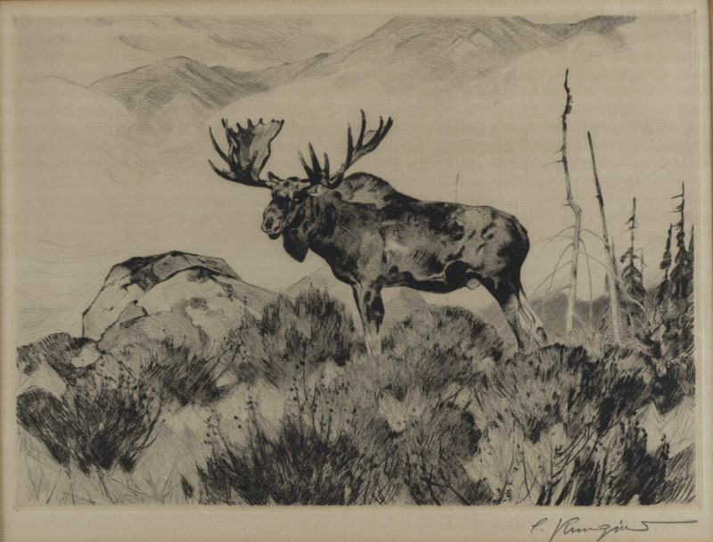 Carl Rungius - The Wanderer