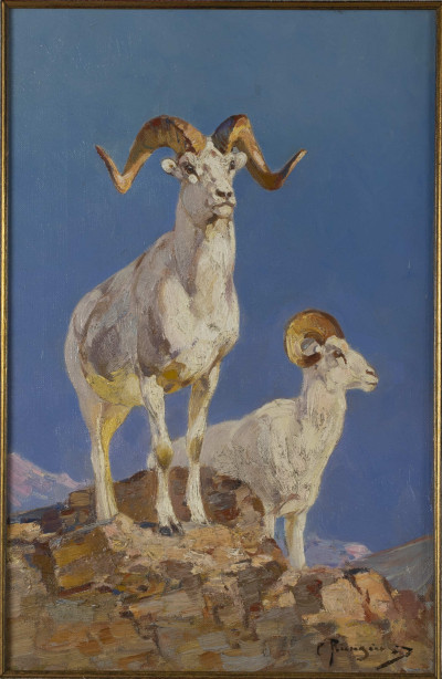 Carl Rungius - Dall Sheep