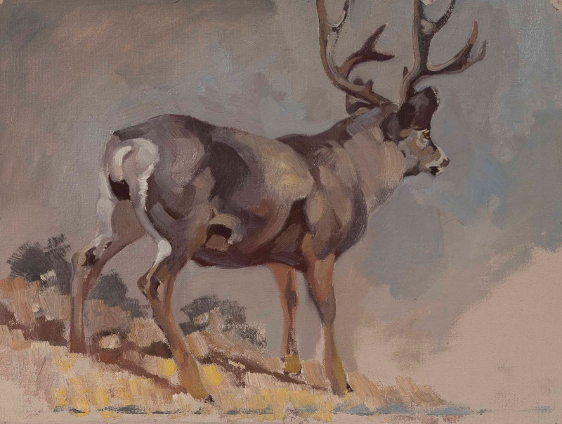 George Browne - 6 Deer and Elk studies