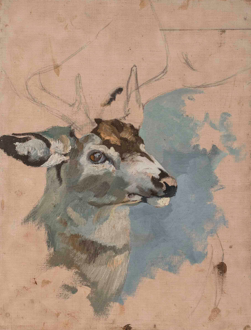 George Browne - 6 Deer and Elk studies