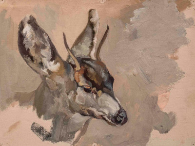 George Browne - 6 Deer and Elk studies