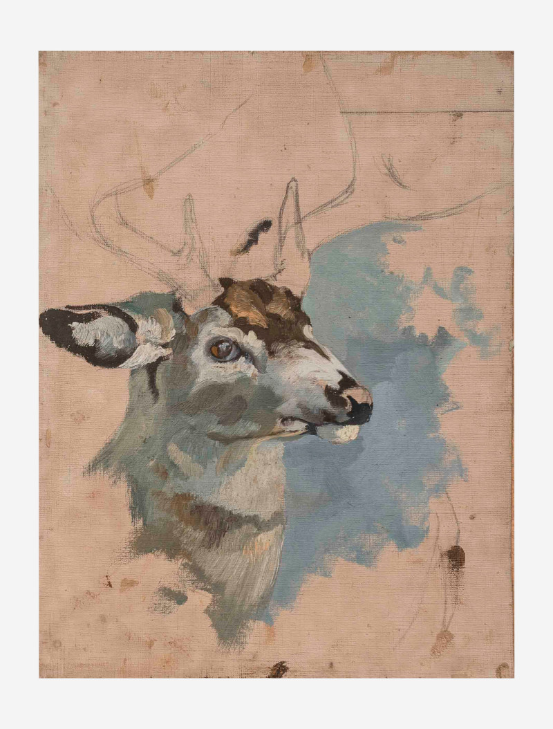 George Browne - 6 Deer and Elk studies