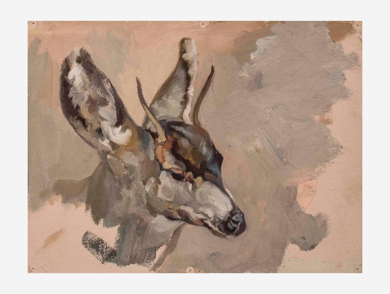 George Browne - 6 Deer and Elk studies