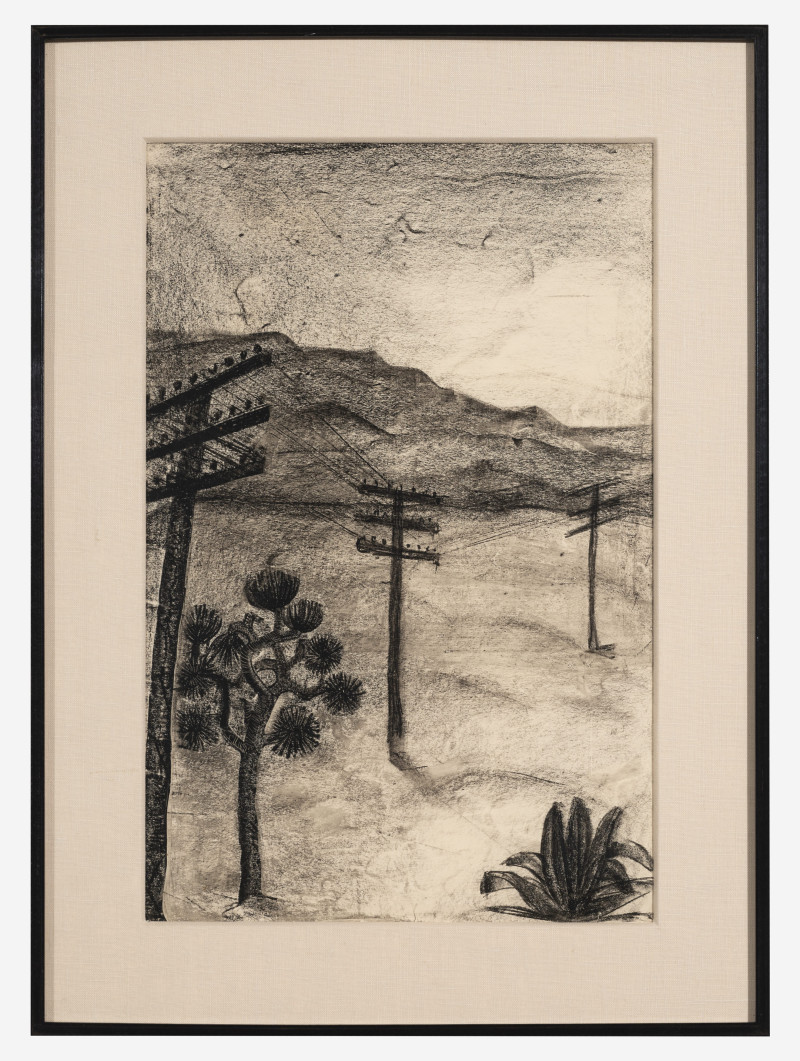 Unknown Artist - Untitled (Joshua Tree)