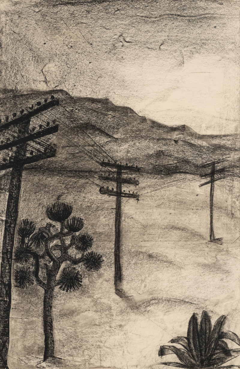 Unknown Artist - Untitled (Joshua Tree)