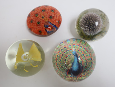 Group of Nature Themed Paperweights