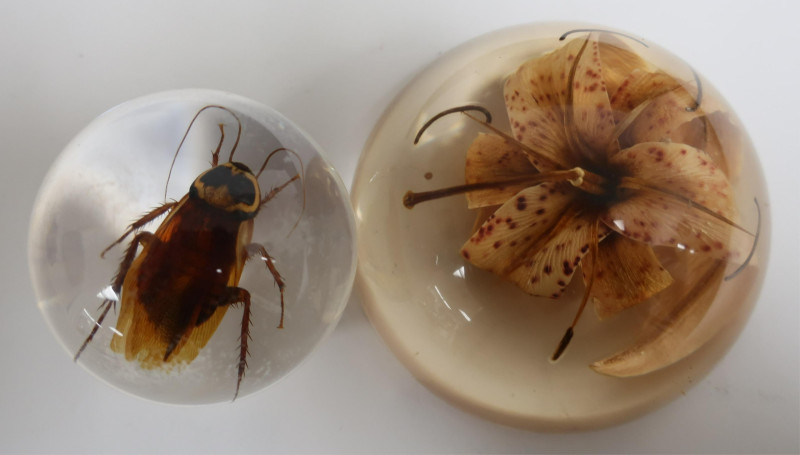 Group of Nature Themed Paperweights