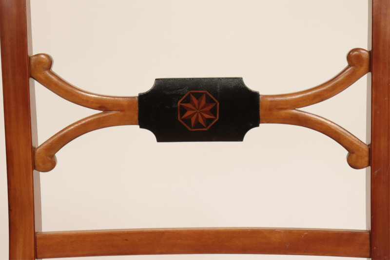 10 Swedish Neoclassic Style Parcel-Ebonized Chairs