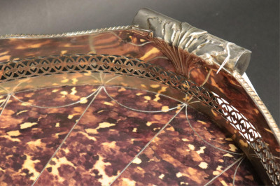 George III Style Inlaid Faux Tortoiseshell Tray