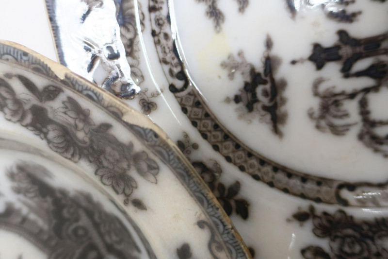 12 Pelew Mulberry Ironstone Transferware, 19th C.