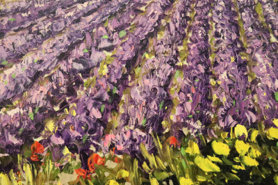Peter van Berkel - Lavender Rows in Provence