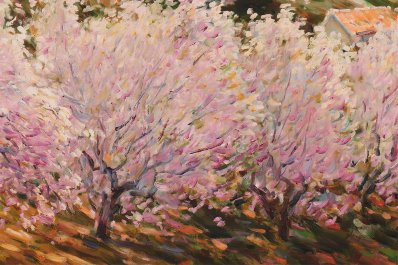 MALVA - Tuscan Blossoms