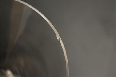 Salviati Etched Clear Glasses